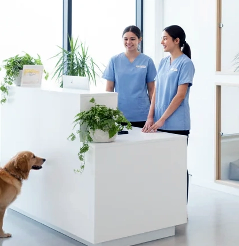 Pet Otel Bağlıca Ankara